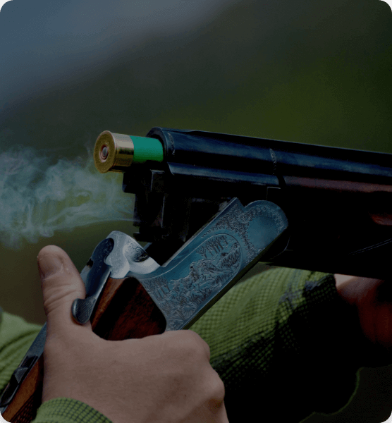Category - Shotguns